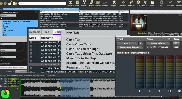 Soundminer V6 Basic