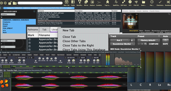 Soundminer V6 Plus